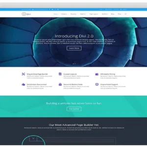 Divi theme Corporate Website Theme