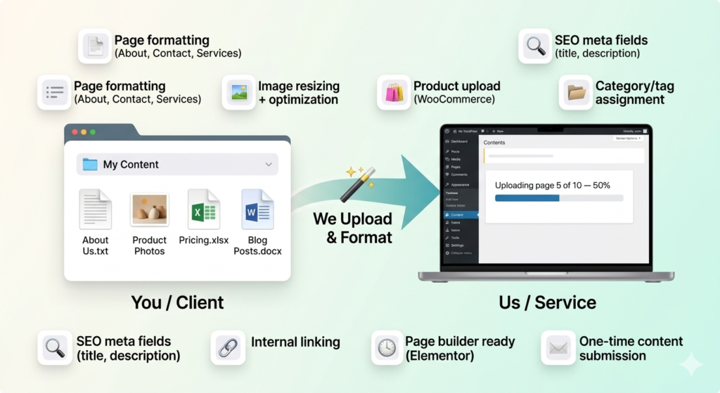 Content Upload Service – We Populate Your Website For You